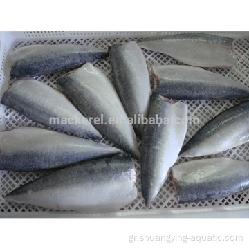 Νέα άφιξη Frozen Fish Mackerel Fillets για χονδρική πώληση